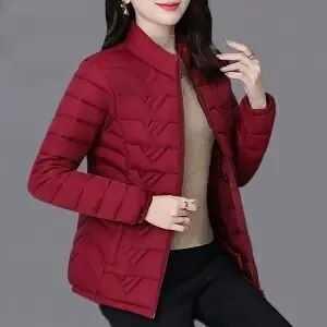 2024 Nnew Autumn Winterr Parkas Warm Down Cotton Jacket Female Slim Thin Coat Women Middle-Aged Mom Short Padded Clothing G3083 Deep Red