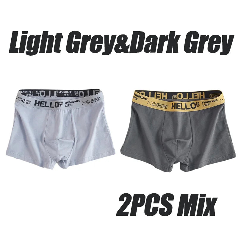 5Pcs Mens Underwear Male Boxers Sexy Underpants Comfortable Breathable Fashion Boys Panties Underwear Boxershorts Men 2PCS-Mix-02