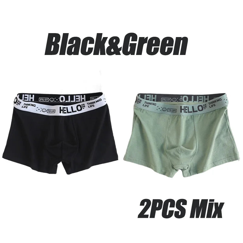 5Pcs Mens Underwear Male Boxers Sexy Underpants Comfortable Breathable Fashion Boys Panties Underwear Boxershorts Men 2PCS-Mix-04