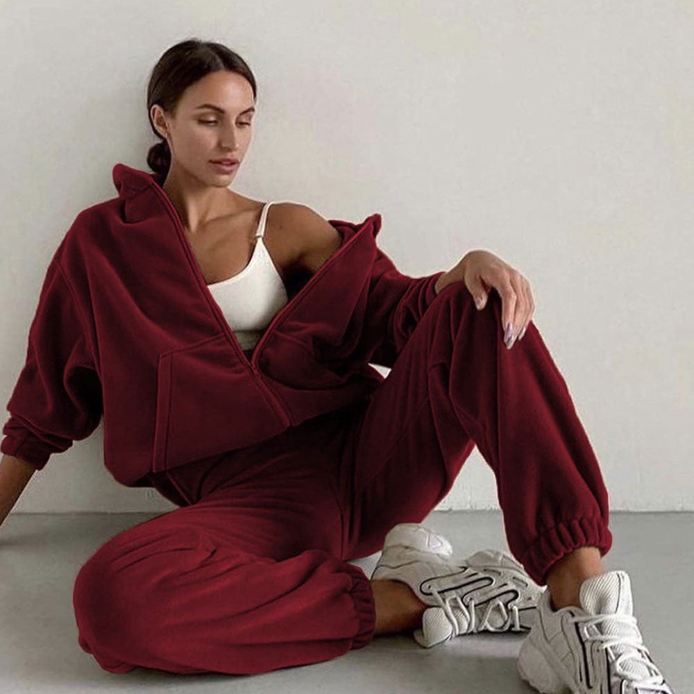 Autumn Winter Women's Brand Velvet Fabric Tracksuits Hoody Track Suit Hoodies And Pants Oversized Sportswear Two Pieces Set