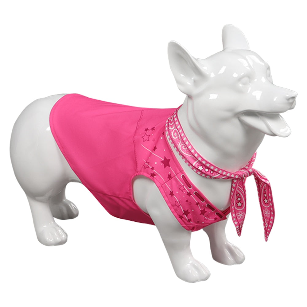 Dog Clothes Pet Barbie Margot Ken Cosplay Costume Outfits For Puppy Cute Sweet Halloween Carnival Party Suit Role Play Clothing