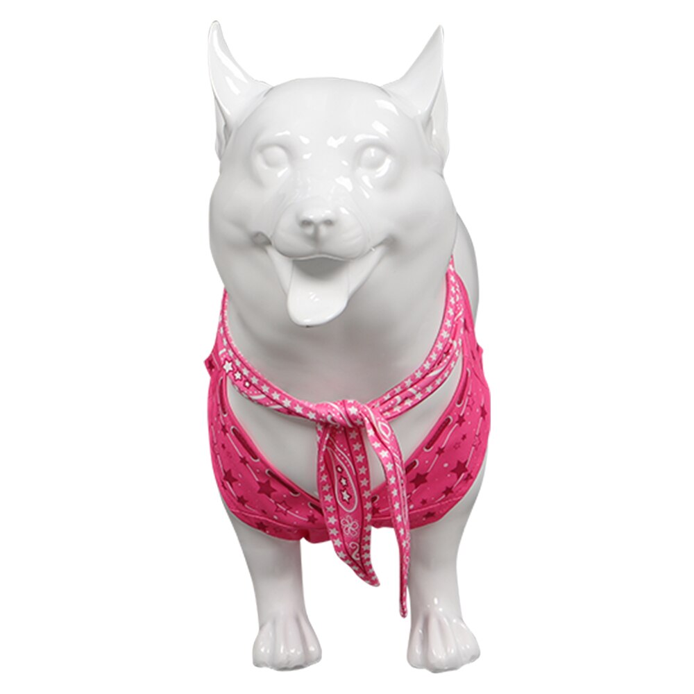 Dog Clothes Pet Barbie Margot Ken Cosplay Costume Outfits For Puppy Cute Sweet Halloween Carnival Party Suit Role Play Clothing
