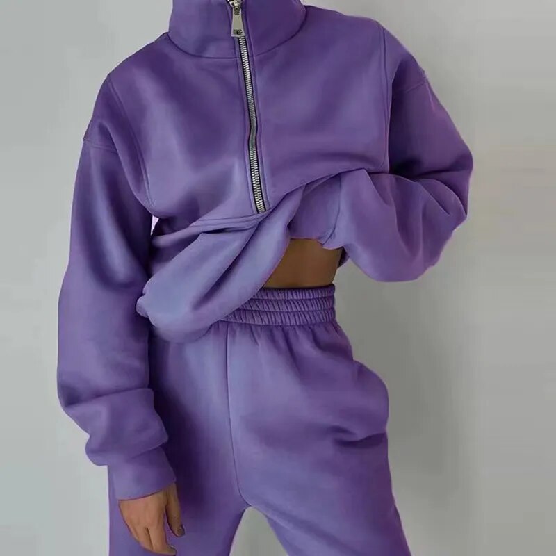 Fashion Comfortable Hooded Women Tracksuit 2Pc Set Casual Street Solid Simple Suits New Loose Hoodie Straight Long Pants Outfits Purple