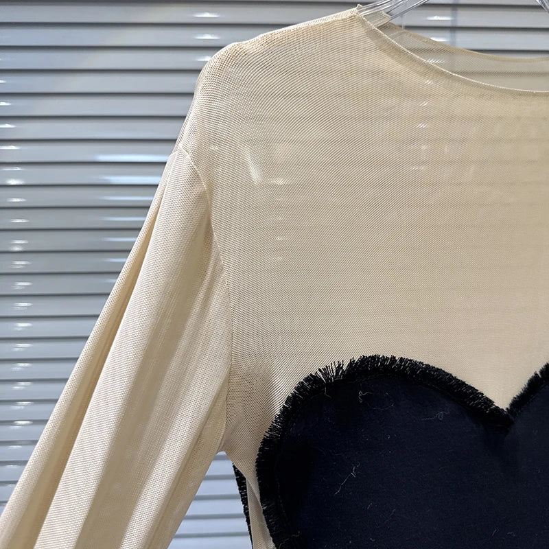 Winter New Fashion Heart Pattern Contrast Color Long Sleeve Mesh T-Shirt For Women Versatile Slim Fit Tops 11A07586