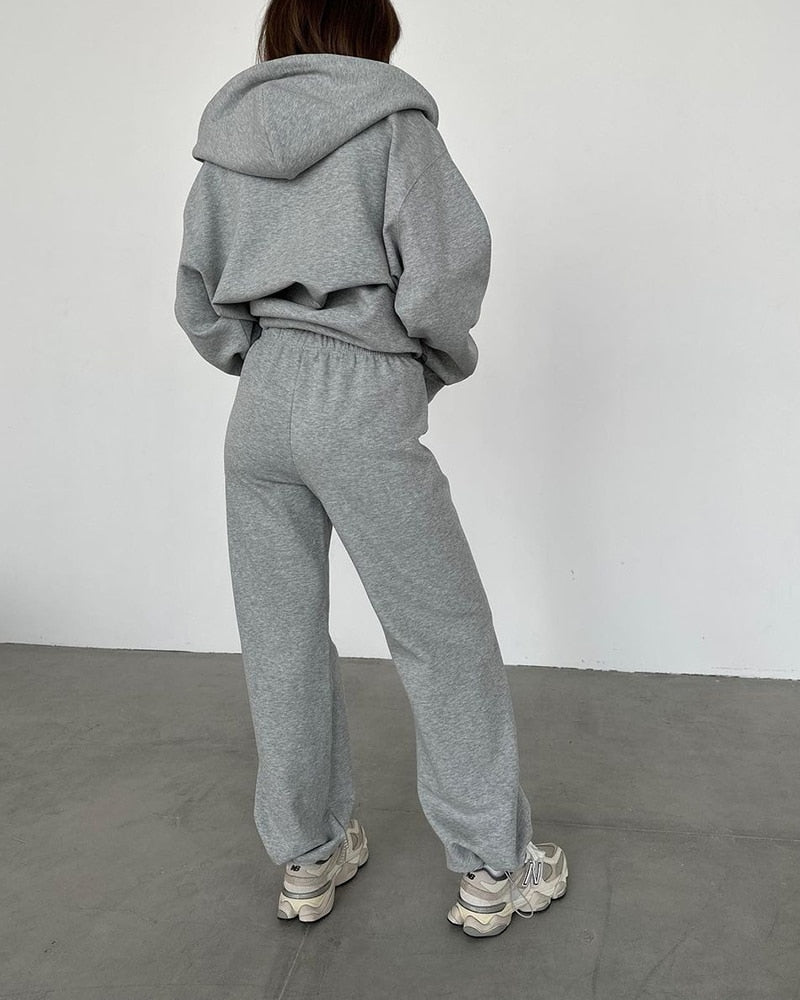 WOTWOY Causal Fleece Hooded Sweatshirts and Pants 2 Piece Sets Womens Outfits Autumn Winter Sweatpants Female Grey Pullovers 23113-gray-sets