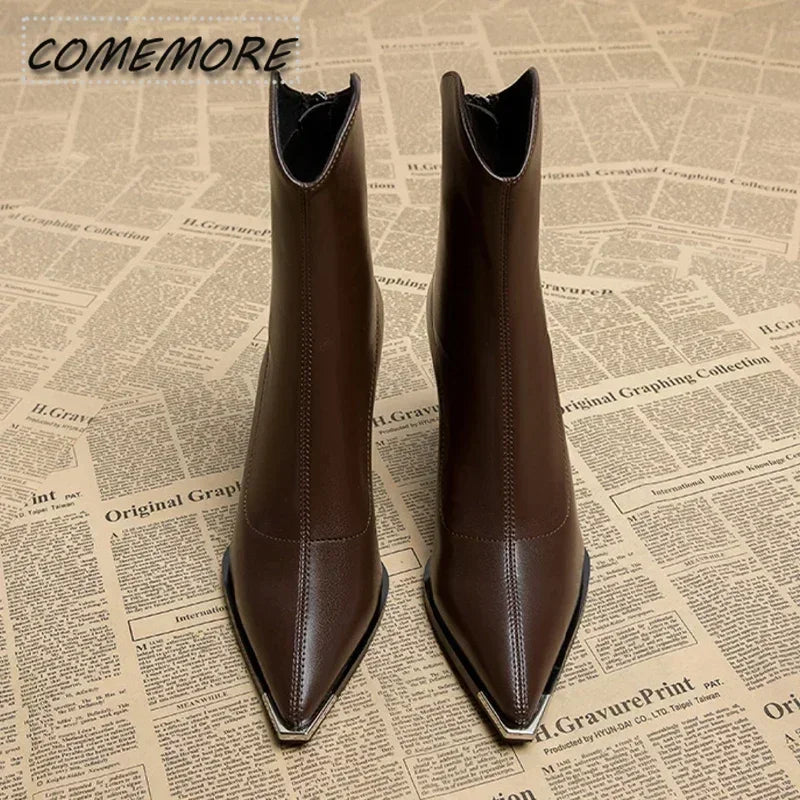 Winter High Heels Sexy Women Luxury Shoes Chunky Ankle Chelsea Boots Fashion New Pointed Toe Zipper Goth Pumps Black Brown
