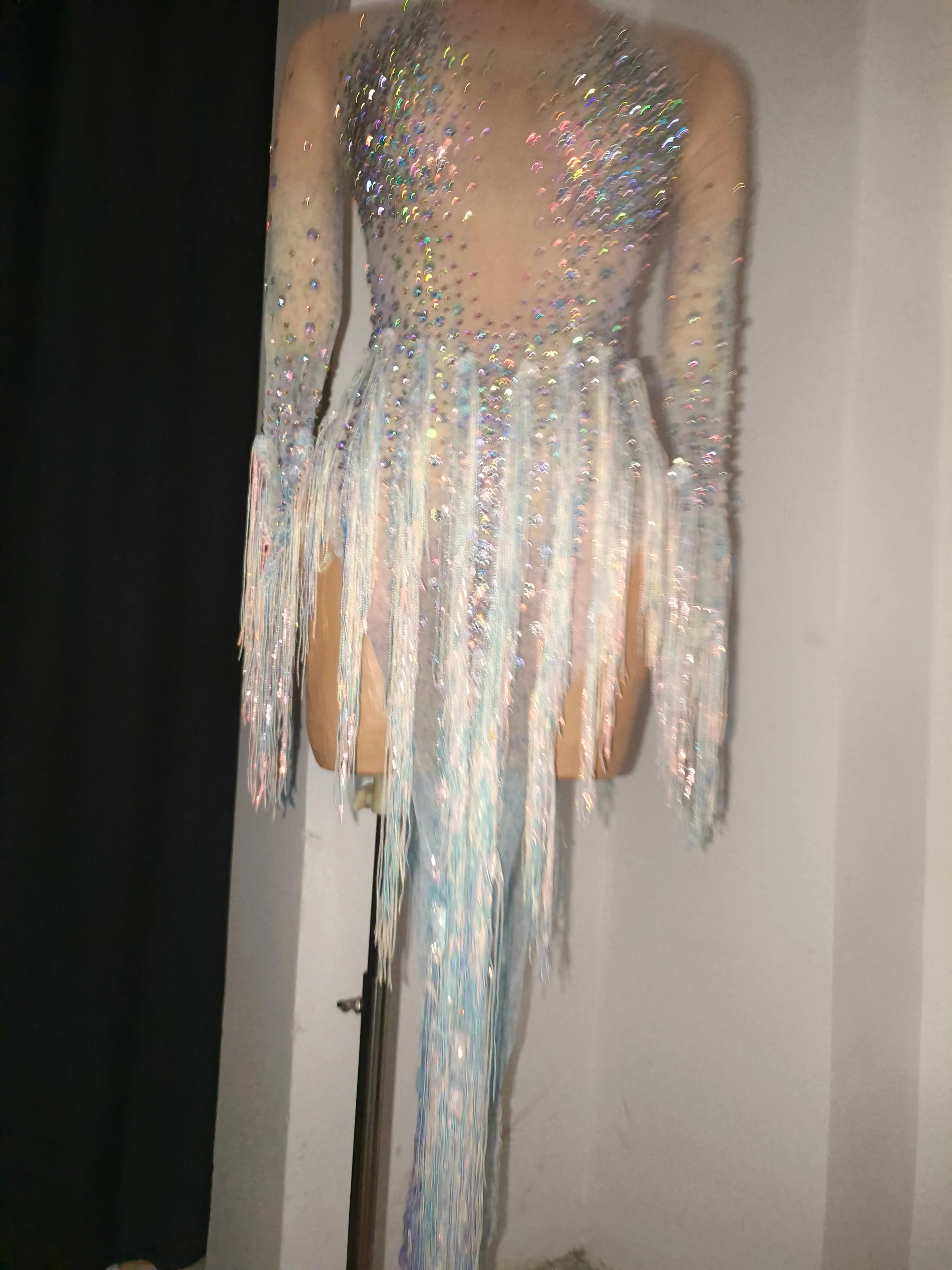 Luxurious Nude Long Sleeve Dress Women Sheer Mesh Iridescent Rhinestone Fringe Embellished Latin Dance Performance Costume