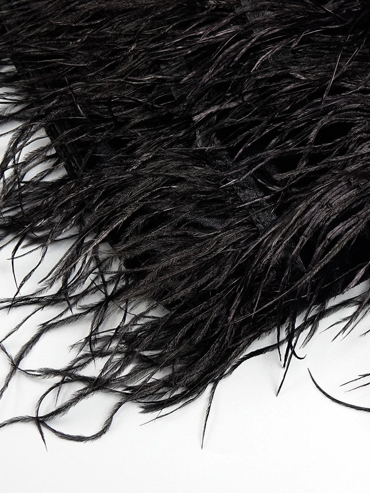 Chic And Elegant Dress Women Party Wear Long Sleeve With Gloves Luxury Crystal Design Velvet Mini Feather Dress