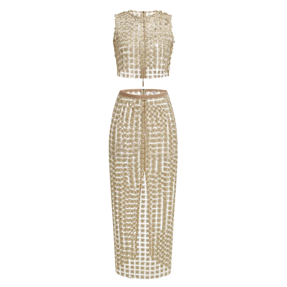 Stylish Beige Sleeveless Cropped Top & Sheer Skirt Set with Zipper for Festival & Party Chic Dress Gown Beige