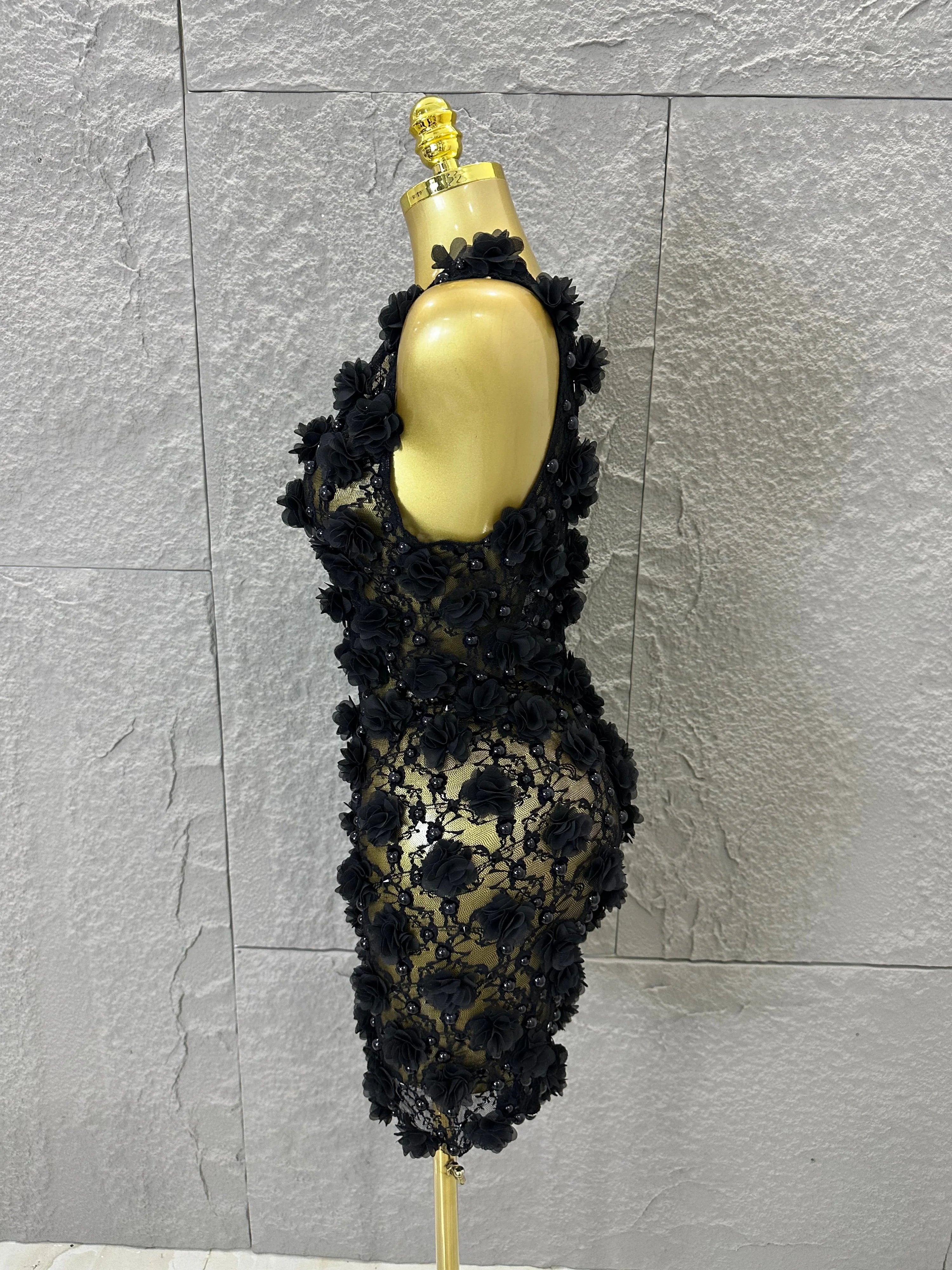 Luxury Black Sheer Mesh Floral Appliqué Mini Dress Deep V Neck Fitted Bodycon Formal Dinner Cocktail Event Party Dress