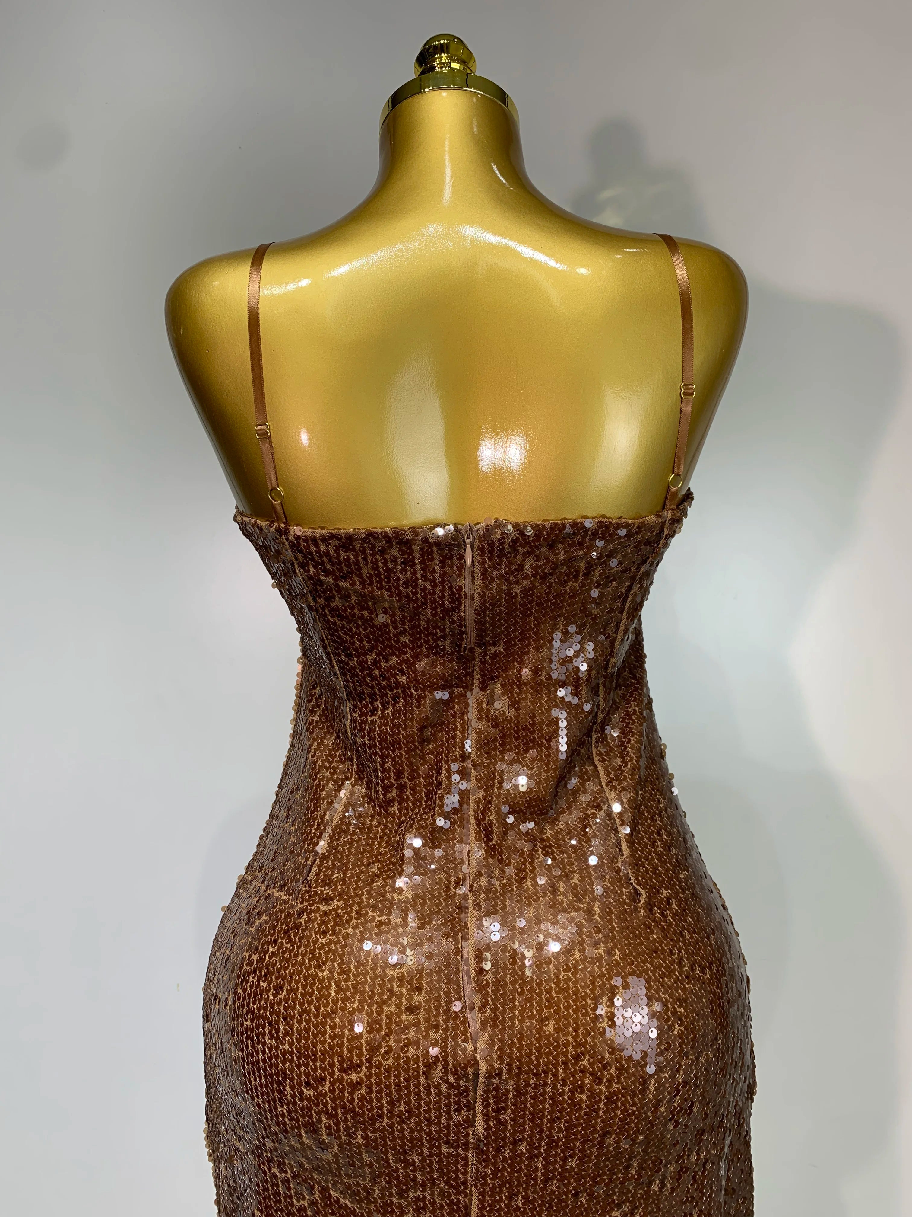 Women Luxury Sexy Sleeveless Backless Mesh Sequins Flower Brown Bodycon Maxi Dress Club Elegant Celebrity Evening Party Dress