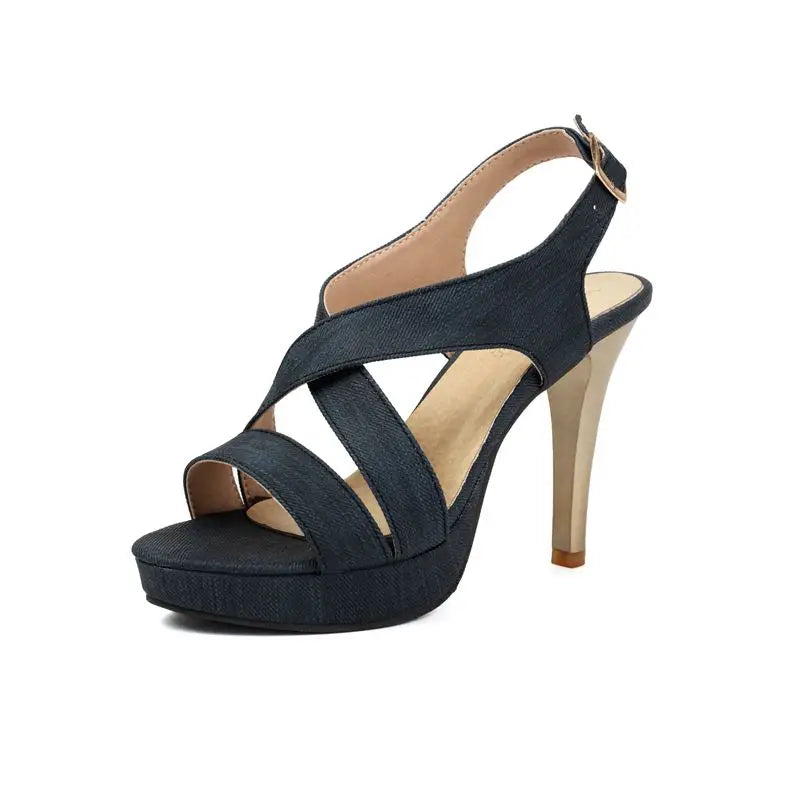 SIMLOVEYO 2024 Summer Female Sandals Open Toe Shoes Buckle Strap Stiletto Platform 46 47 48 Sexy Dating Shoes Blue