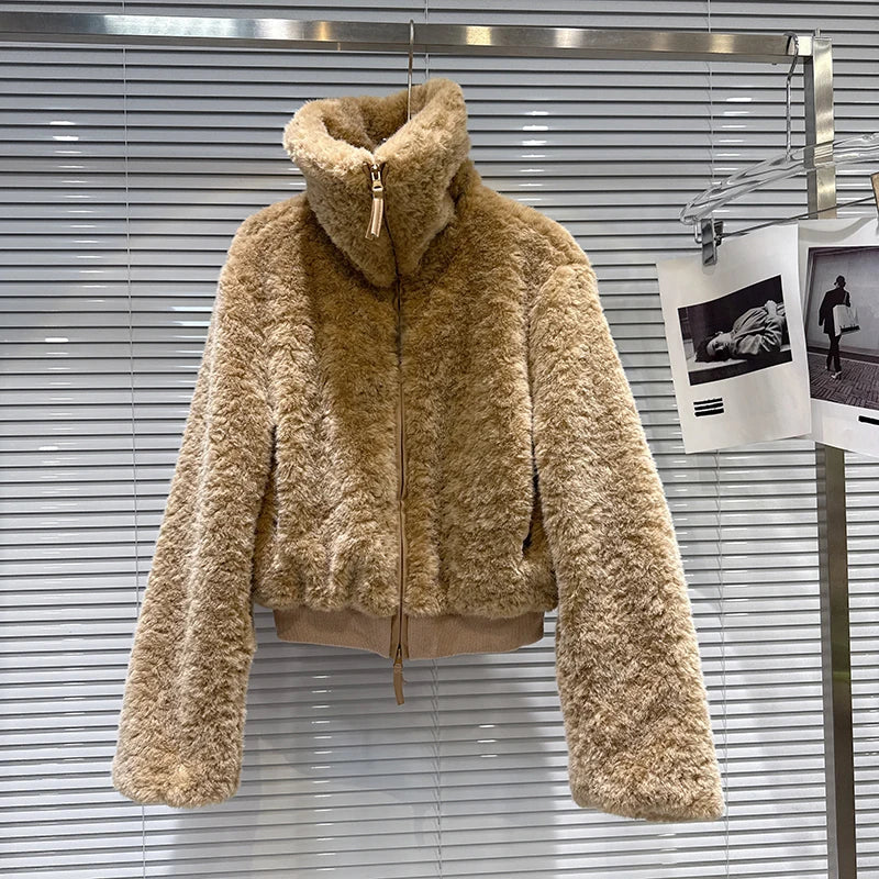 Winter New Casual Fashion Fur Loose Stand Collar Warm Short Coat For Women Zipper Fleece High Waist Jacket 11A07499