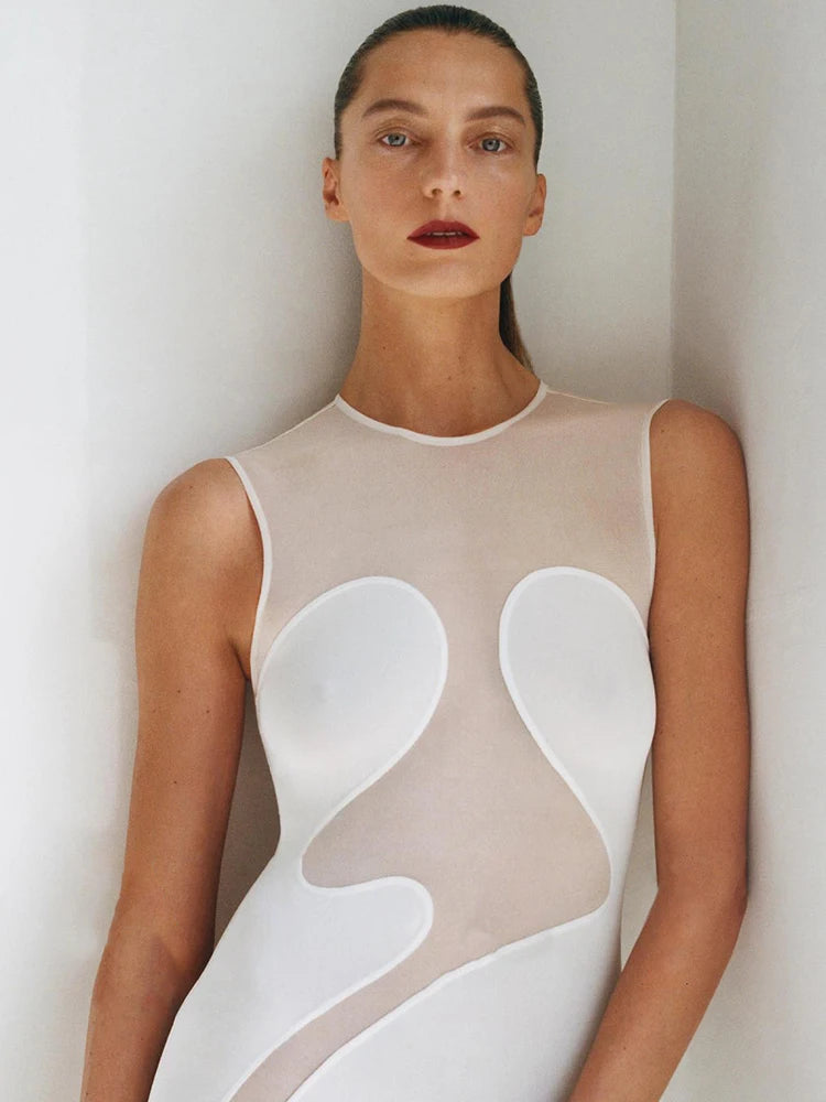 Cool Fashion Black White Sheer Mesh Sleeveless O-Neck Ankle Dress for Party Date Night Evening Gown