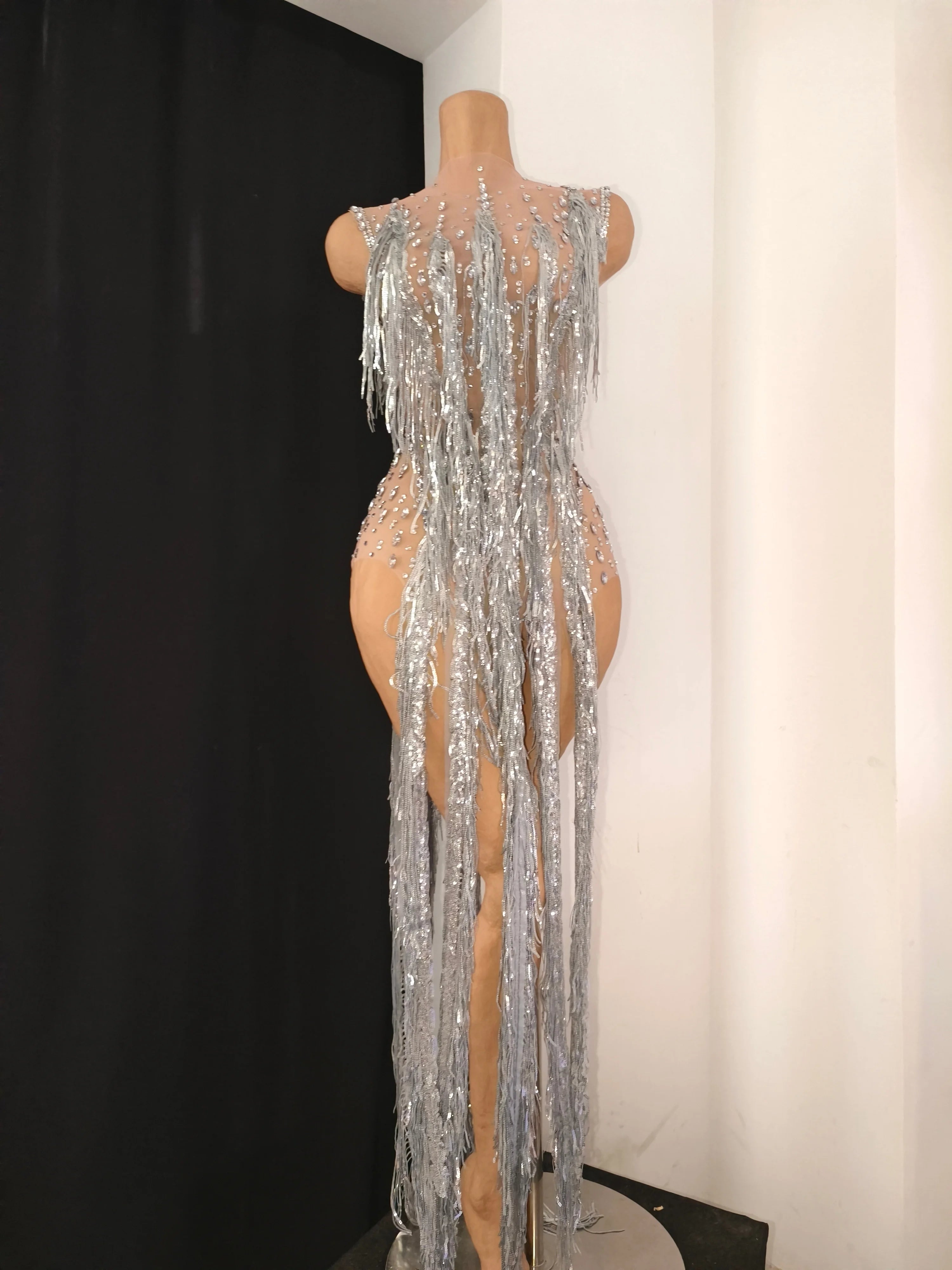 Sparkly Opulent Silver Long Tassel Sheer Mesh Crystal Rhinestone Dress Slim-fit Nightclub Party Clubwear Cocktail Outfit Silver