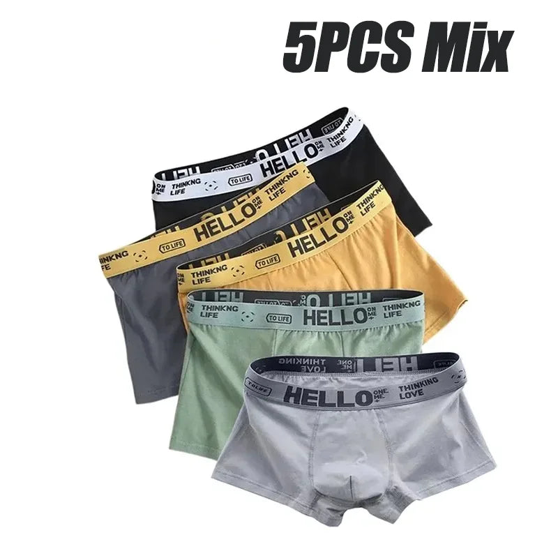 5Pcs Mens Underwear Male Boxers Sexy Underpants Comfortable Breathable Fashion Boys Panties Underwear Boxershorts Men 5PCS-Mix