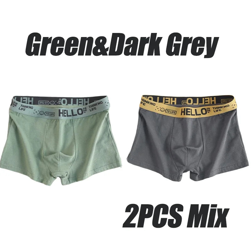 5Pcs Mens Underwear Male Boxers Sexy Underpants Comfortable Breathable Fashion Boys Panties Underwear Boxershorts Men 2PCS-Mix-03
