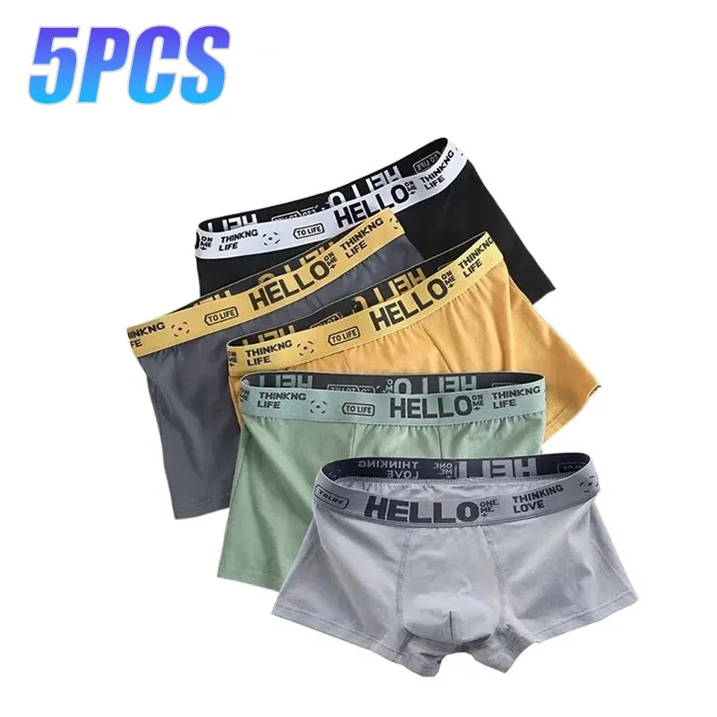 5Pcs Mens Underwear Male Boxers Sexy Underpants Comfortable Breathable Fashion Boys Panties Underwear Boxershorts Men AMAIO