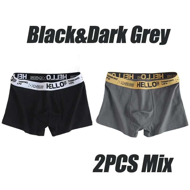 5Pcs Mens Underwear Male Boxers Sexy Underpants Comfortable Breathable Fashion Boys Panties Underwear Boxershorts Men 2PCS-Mix-01