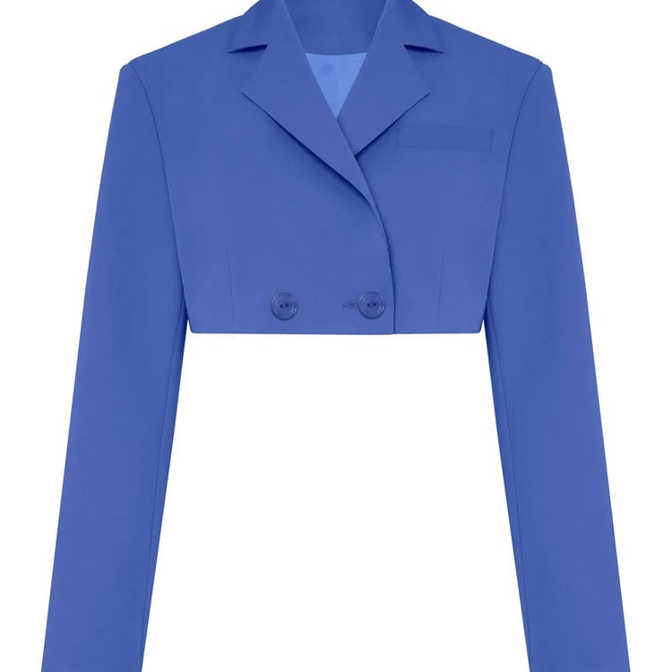 Fall Women Blazer Suit Two Piece Sets Turn-down Collar Blazers Tops And Pleated Skirts Femme High Street Y2K Outfits Only Blue Coat