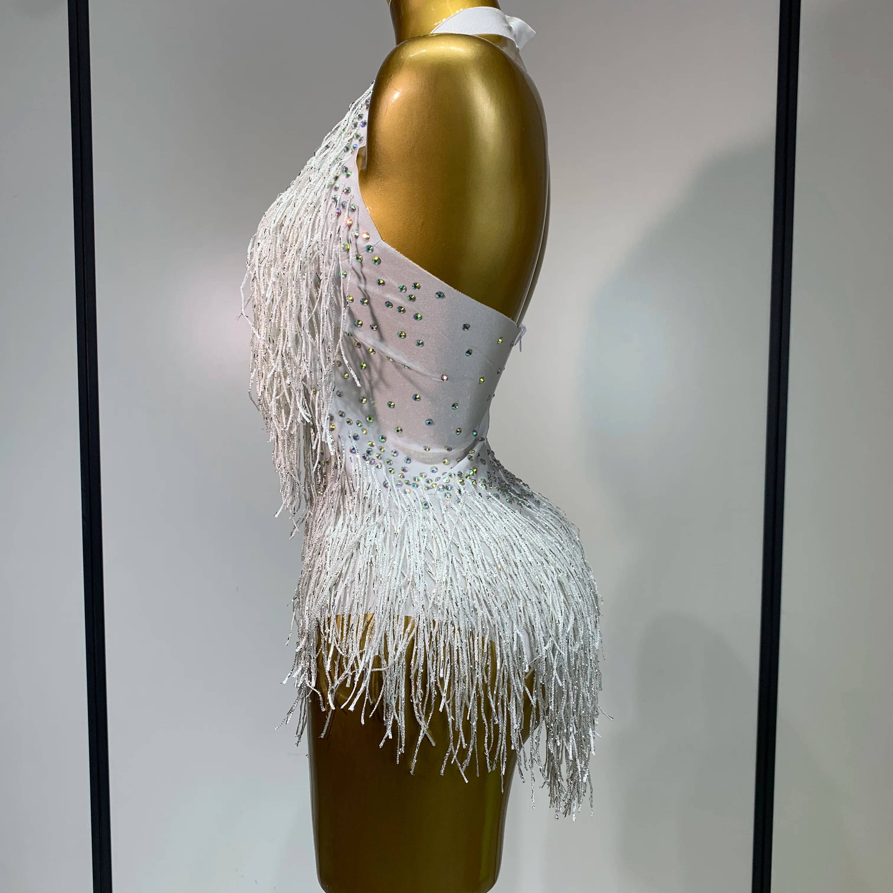 Sparkly Rhinestones Fringes Leotard Women Nightclub Evening Party Outfit Dance Costume Stage Outfit Sexy Performance Bodysuit