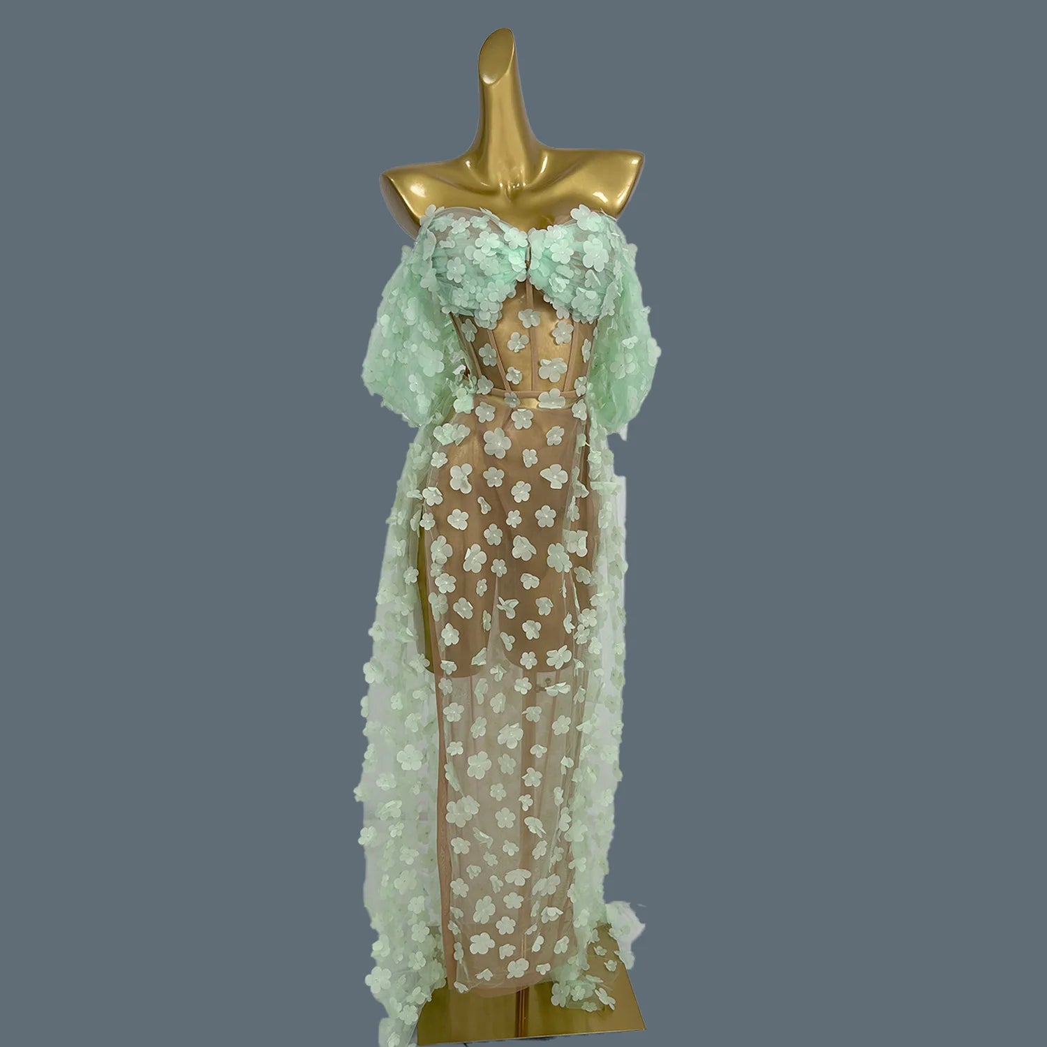 Elegant Fancy Evening Dress Woman See Through Maxi Dress For Young Lday Birthday Graduation Prom Club Night Party Goddess Huahua green One Size