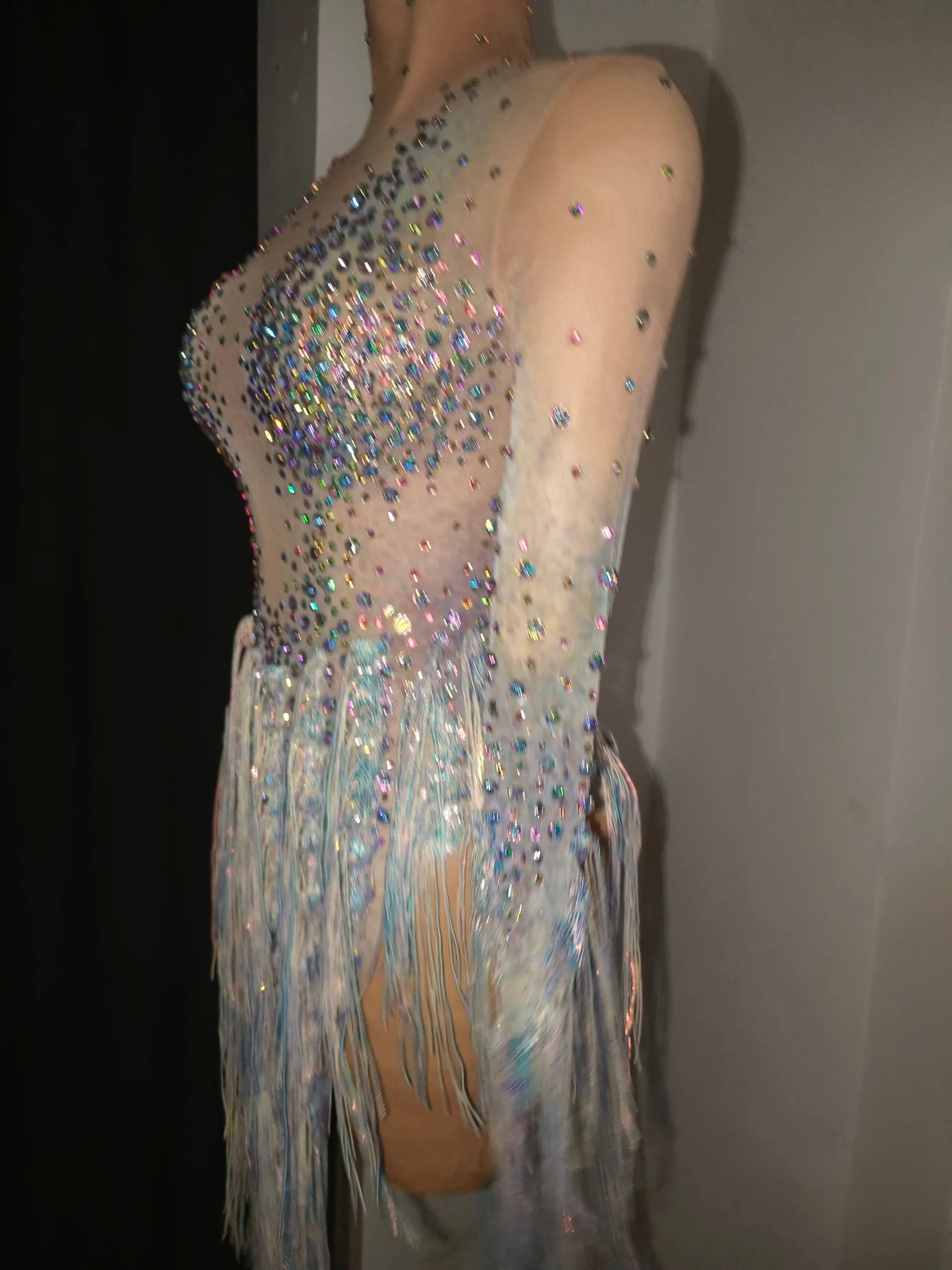 Luxurious Nude Long Sleeve Dress Women Sheer Mesh Iridescent Rhinestone Fringe Embellished Latin Dance Performance Costume