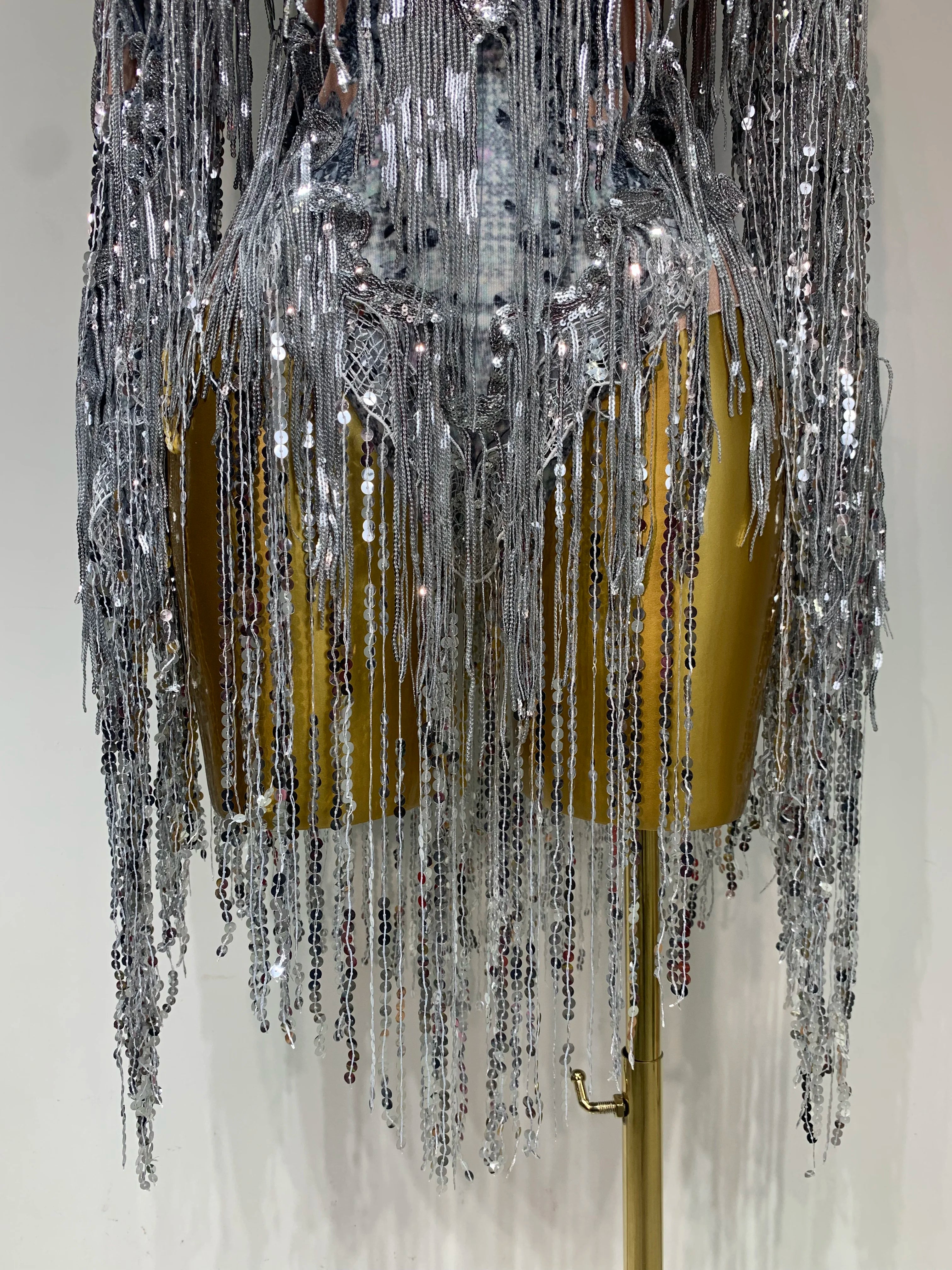 Sparkly Sequin Tassels Long Sleeve Silver Bodysuit Bar Women Singer Show Costume Celebrate Outfit Evening Dance Stage Outfit