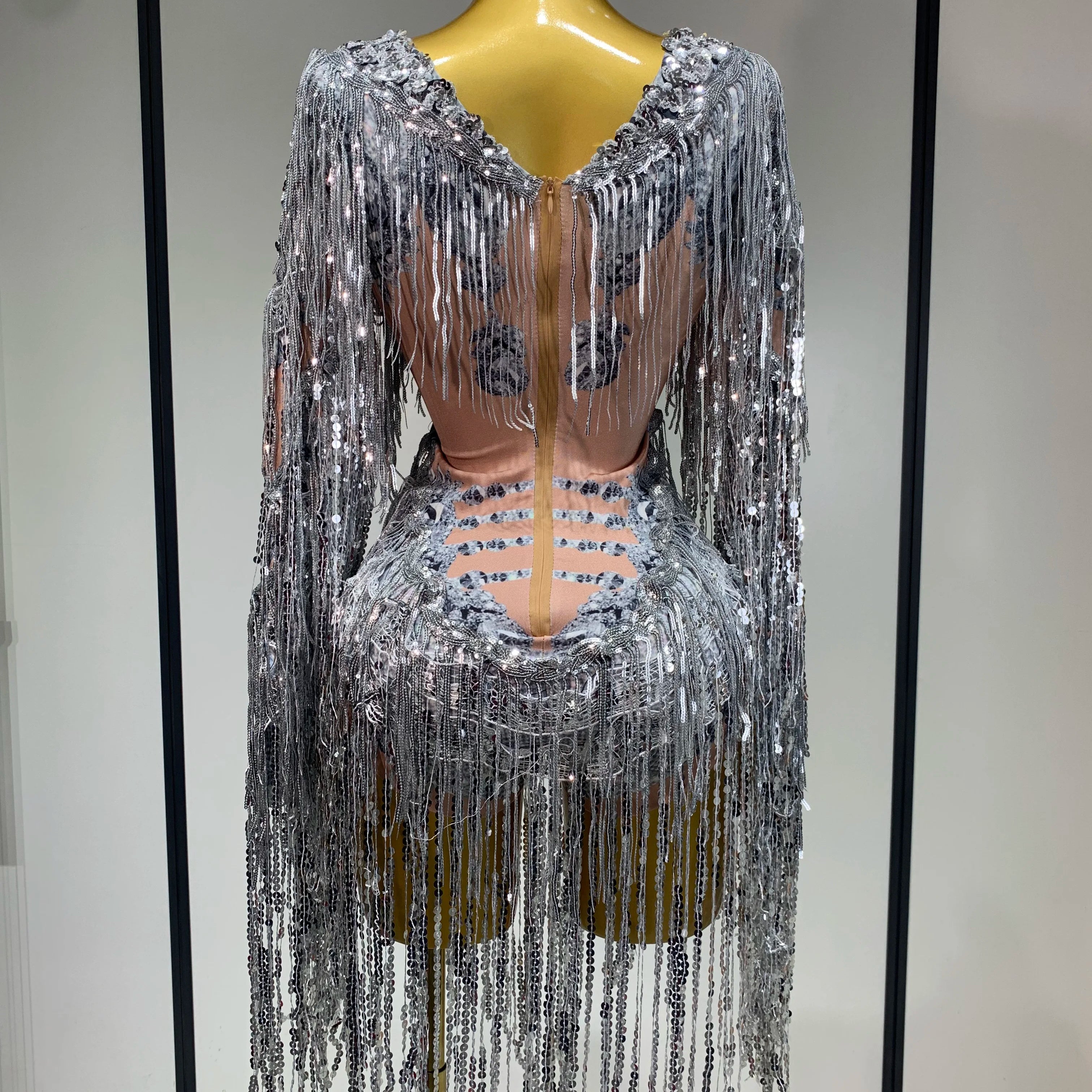 Sparkly Sequin Tassels Long Sleeve Silver Bodysuit Bar Women Singer Show Costume Celebrate Outfit Evening Dance Stage Outfit