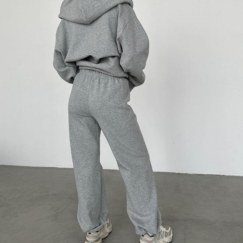 WOTWOY Causal Fleece Hooded Sweatshirts and Pants 2 Piece Sets Womens Outfits Autumn Winter Sweatpants Female Grey Pullovers 23113-gray-sets