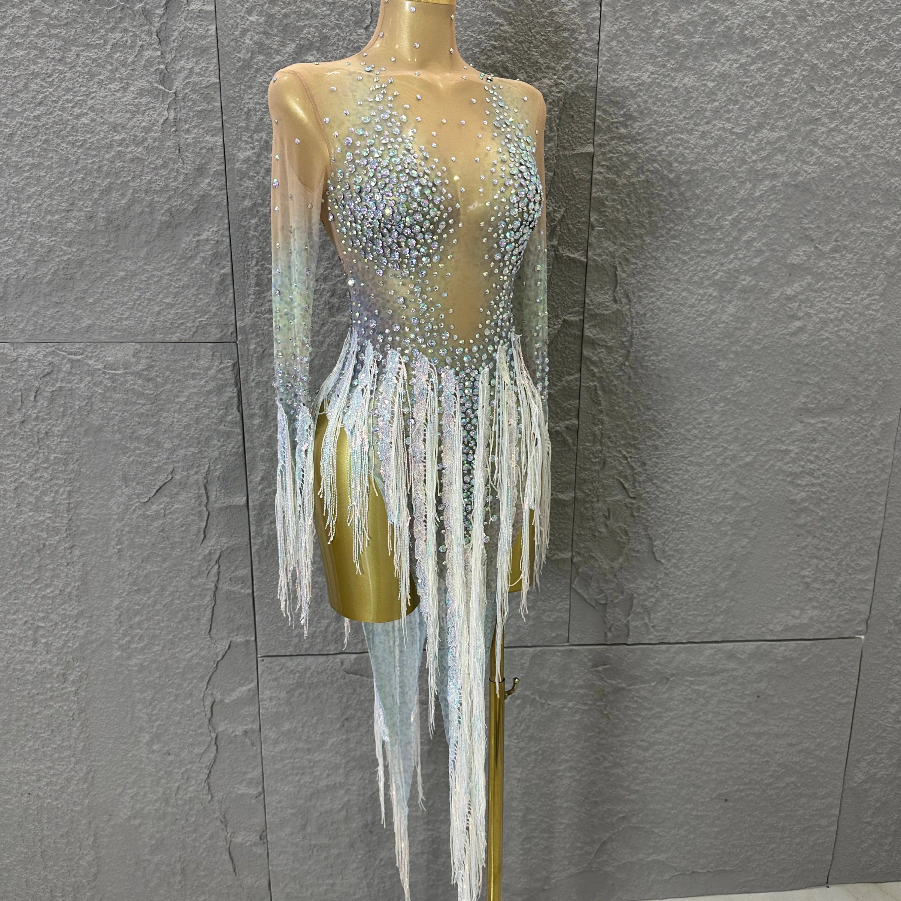 Opulent Nude Long Sleeve Dress Women Sheer Mesh Iridescent Rhinestone Fringe Embellished Latin Dance Performance Costume