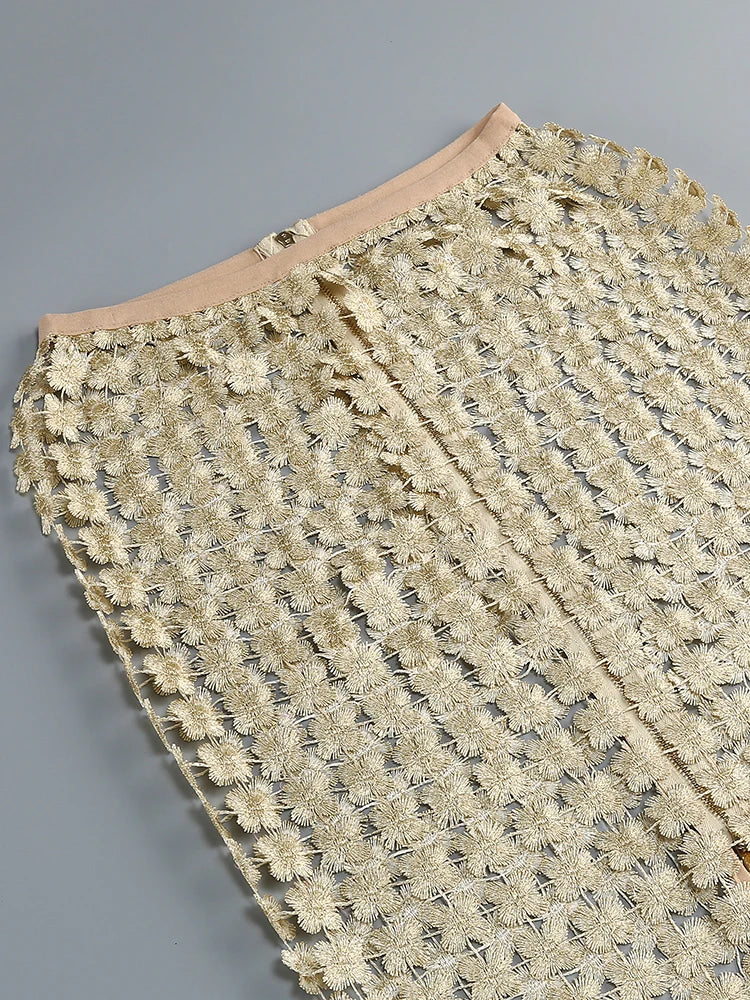 Stylish Beige Sleeveless Cropped Top & Sheer Skirt Set with Zipper for Festival & Party Chic Dress Gown