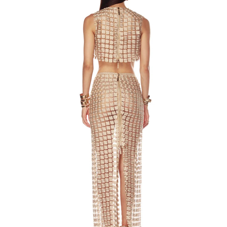 Stylish Beige Sleeveless Cropped Top & Sheer Skirt Set with Zipper for Festival & Party Chic Dress Gown