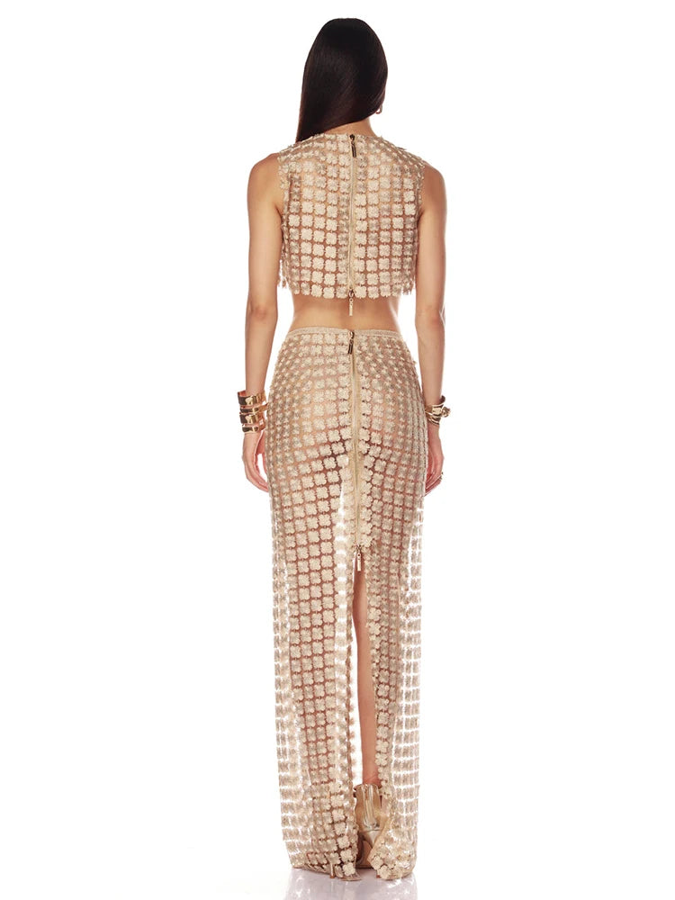 Stylish Beige Sleeveless Cropped Top & Sheer Skirt Set with Zipper for Festival & Party Chic Dress Gown