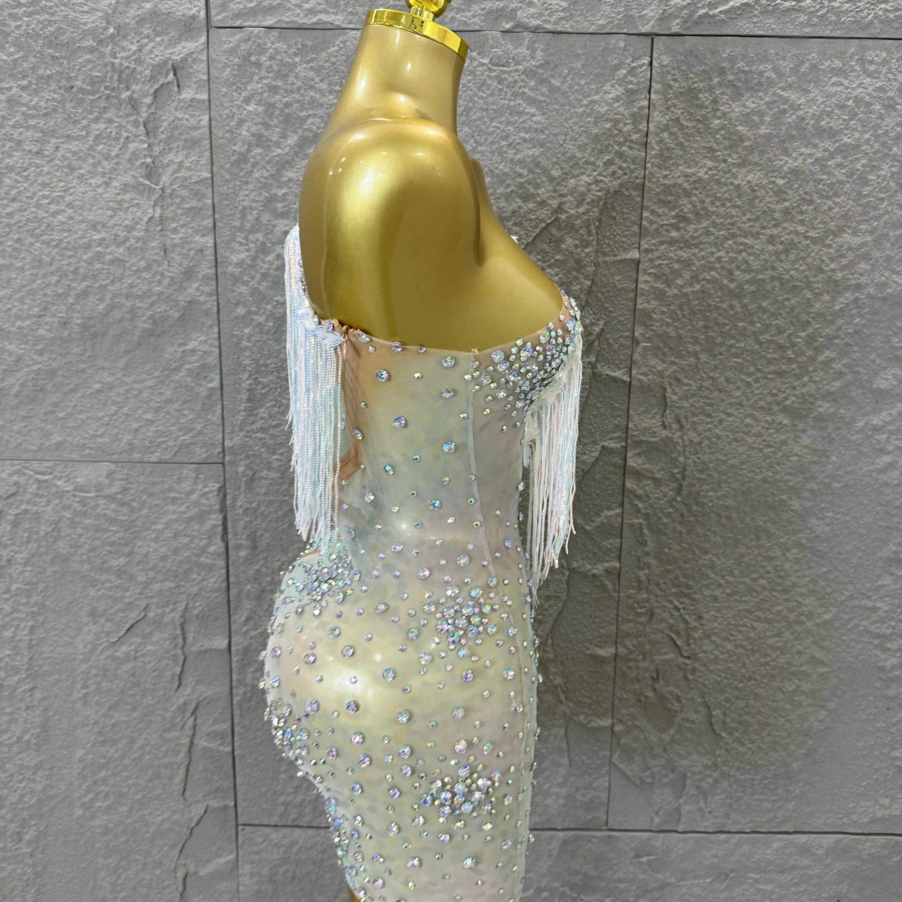Glamorous Nude Sheer Mesh Dress Women Long Sleeve Flowy Rhinestone Fringe Embellished Nightclub Party Dance Performance Outfit