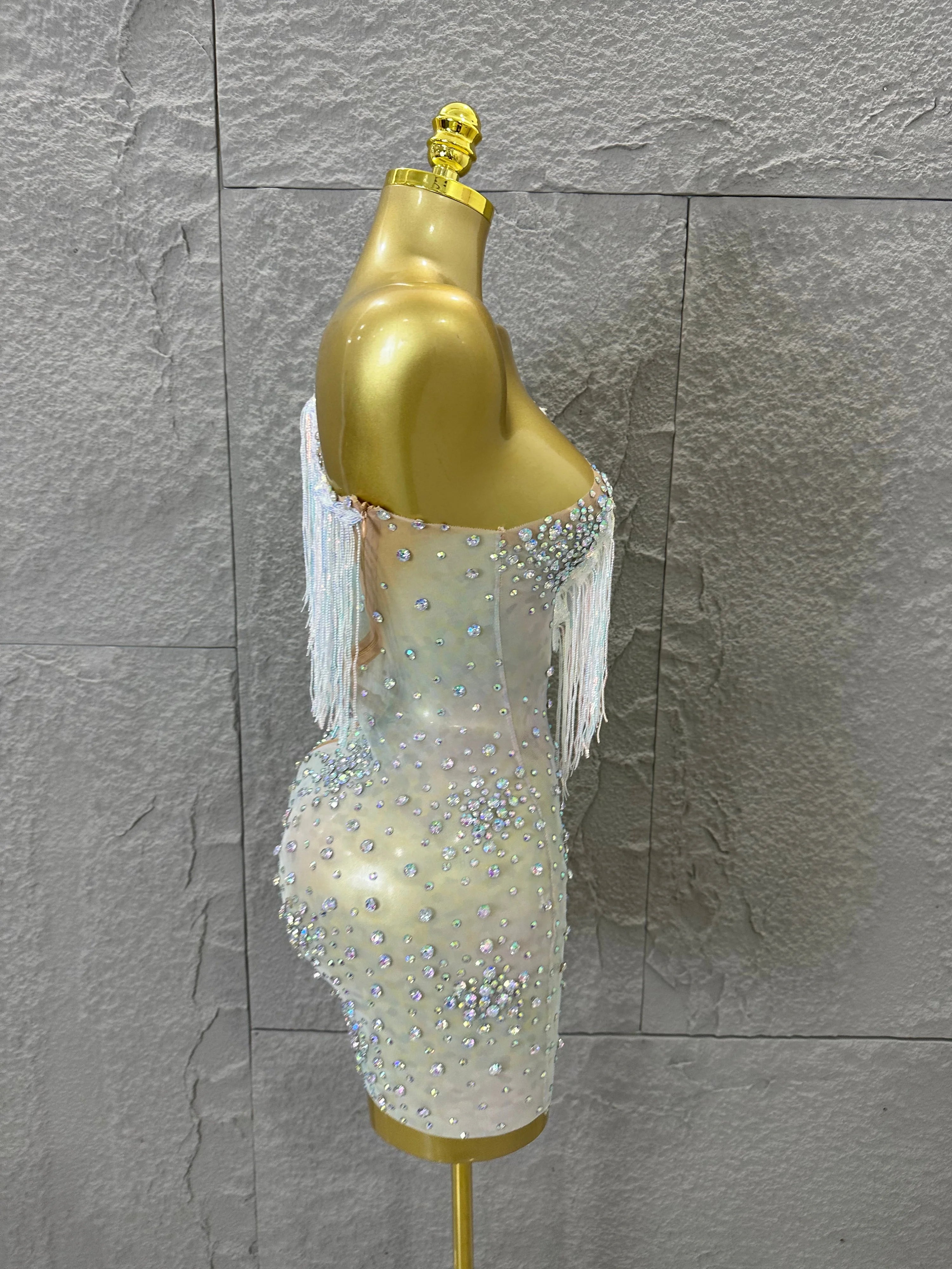 Glamorous Nude Sheer Mesh Dress Women Long Sleeve Flowy Rhinestone Fringe Embellished Nightclub Party Dance Performance Outfit