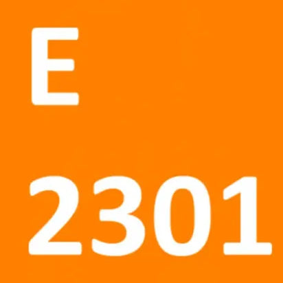 Women Black Triangle Bikini Ins Design Luxury Swimwear Fashion Beach Summer Swim Wears 2301