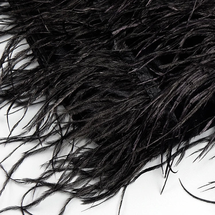 Chic And Elegant Dress Women Party Wear Long Sleeve With Gloves Luxury Crystal Design Velvet Mini Feather Dress