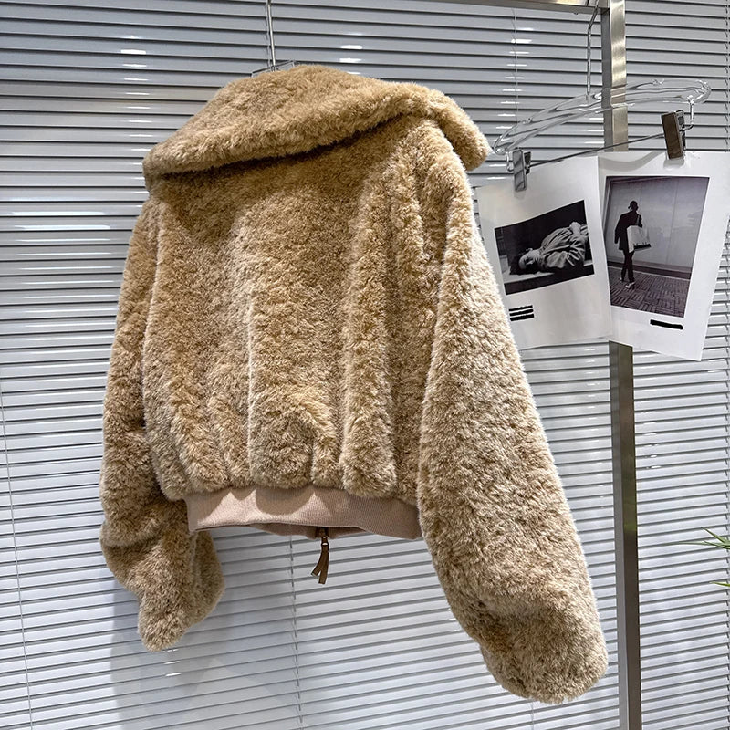 Winter New Casual Fashion Fur Loose Stand Collar Warm Short Coat For Women Zipper Fleece High Waist Jacket 11A07499