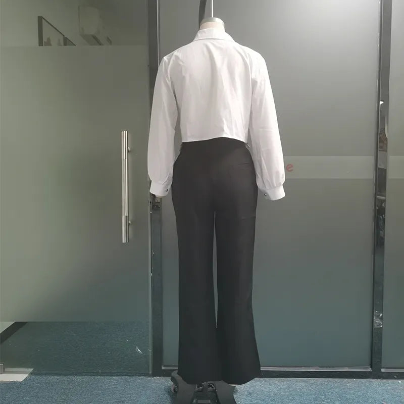 Women Two Piece Set Autumn Office Simple Solid Lapel Long Lantern Sleeve Single Breasted Button Shirt Top Loose Pants Set