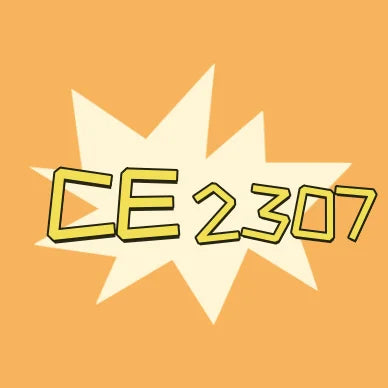 Women Black Triangle Bikini Ins Design Luxury Swimwear Fashion Beach Summer Swim Wears 2307