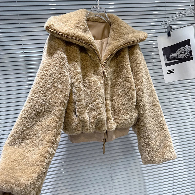 Winter New Casual Fashion Fur Loose Stand Collar Warm Short Coat For Women Zipper Fleece High Waist Jacket 11A07499