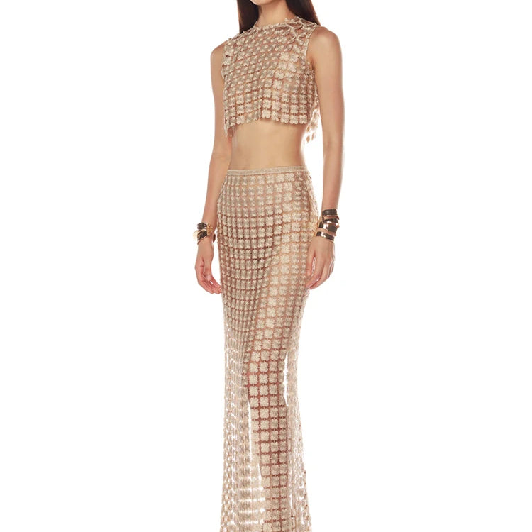 Stylish Beige Sleeveless Cropped Top & Sheer Skirt Set with Zipper for Festival & Party Chic Dress Gown