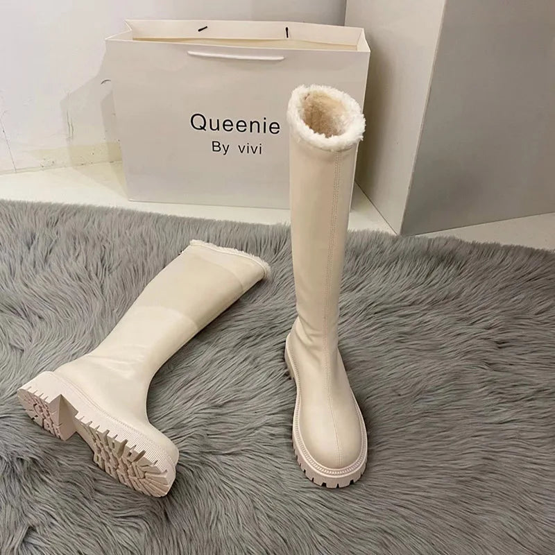 Winter Plush Women Knee High Boots Fashion Back Zippers Ladies Elegant Warm Cotton Long Booties Women's Footwear Beige long