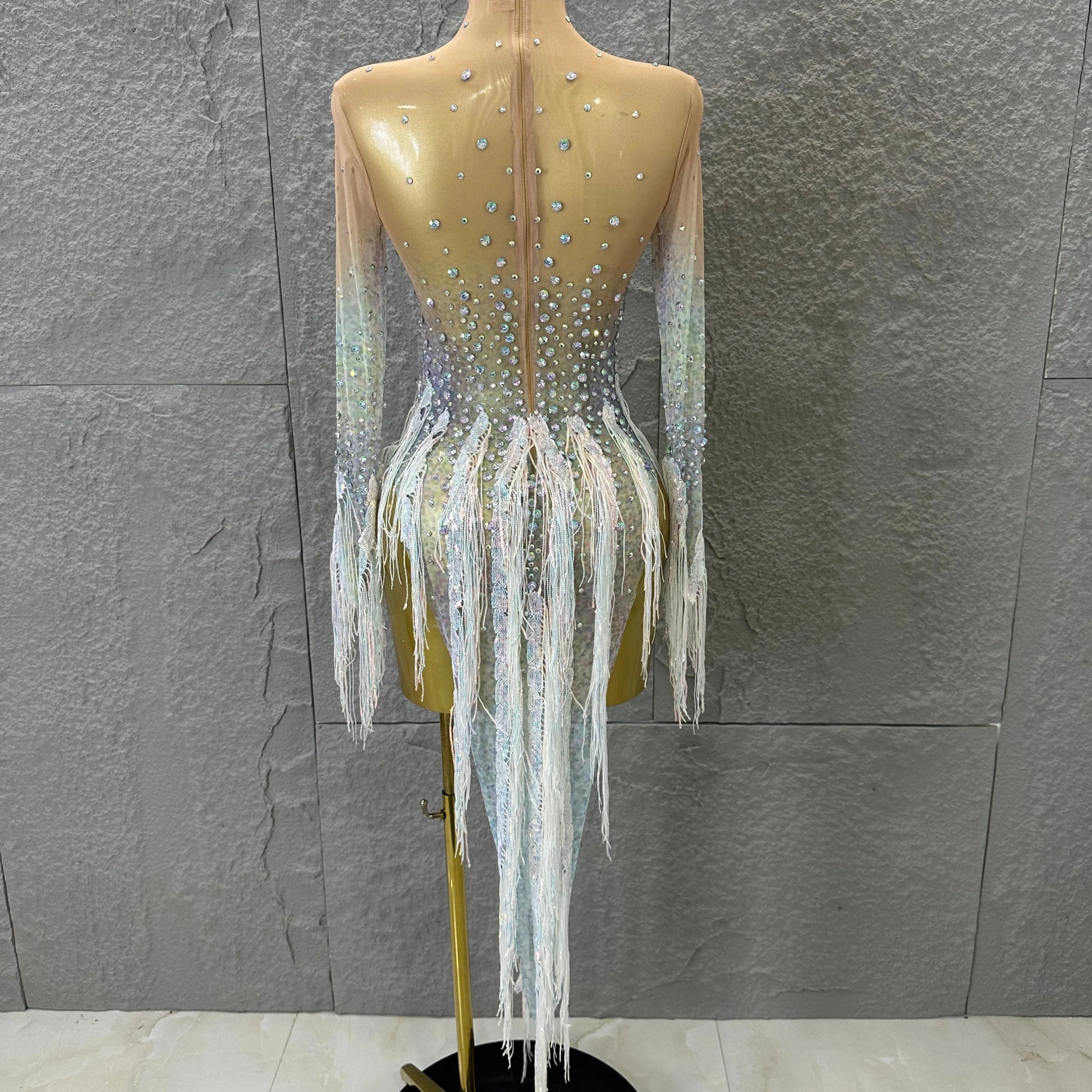 Opulent Nude Long Sleeve Dress Women Sheer Mesh Iridescent Rhinestone Fringe Embellished Latin Dance Performance Costume