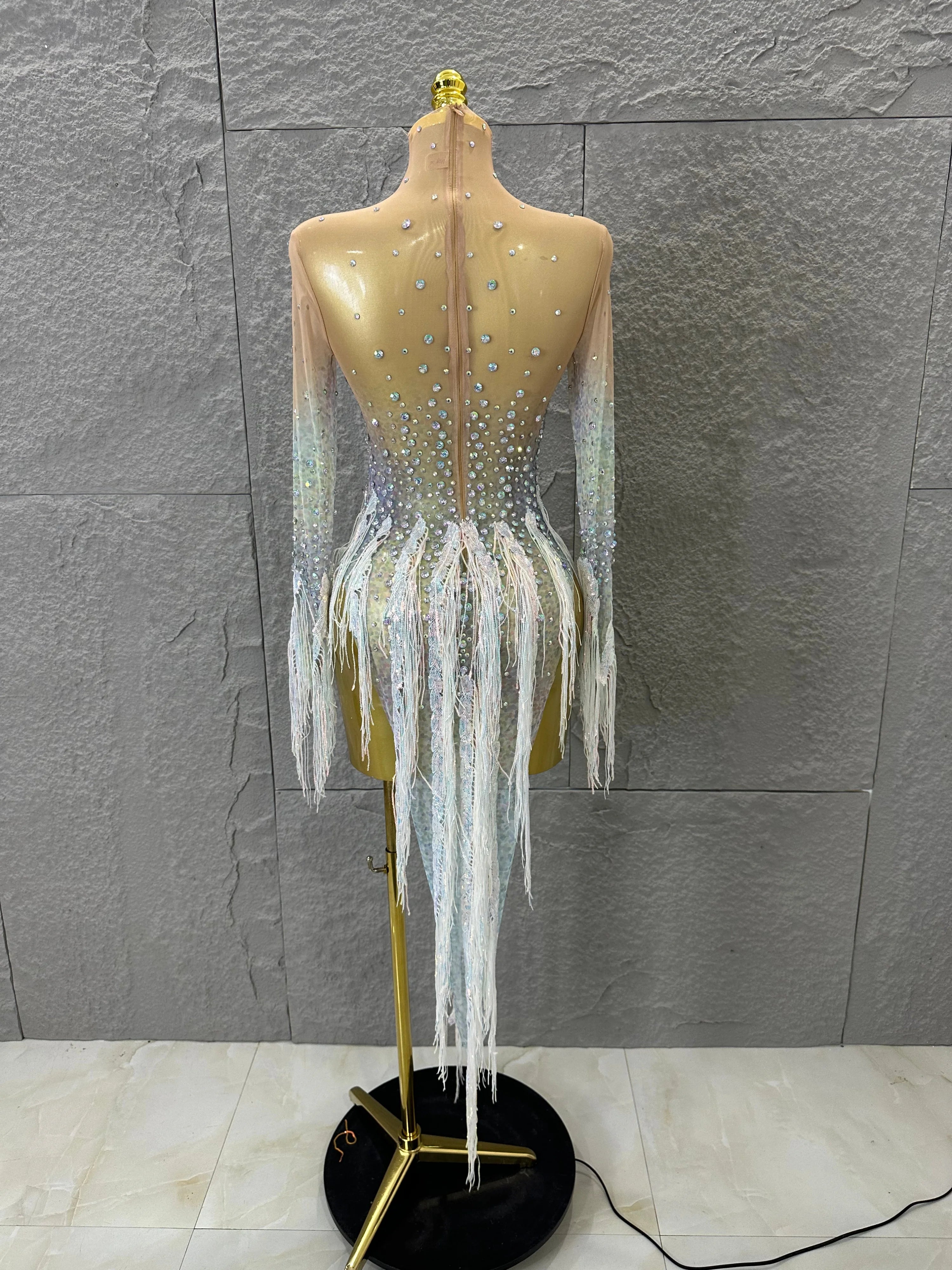 Opulent Nude Long Sleeve Dress Women Sheer Mesh Iridescent Rhinestone Fringe Embellished Latin Dance Performance Costume