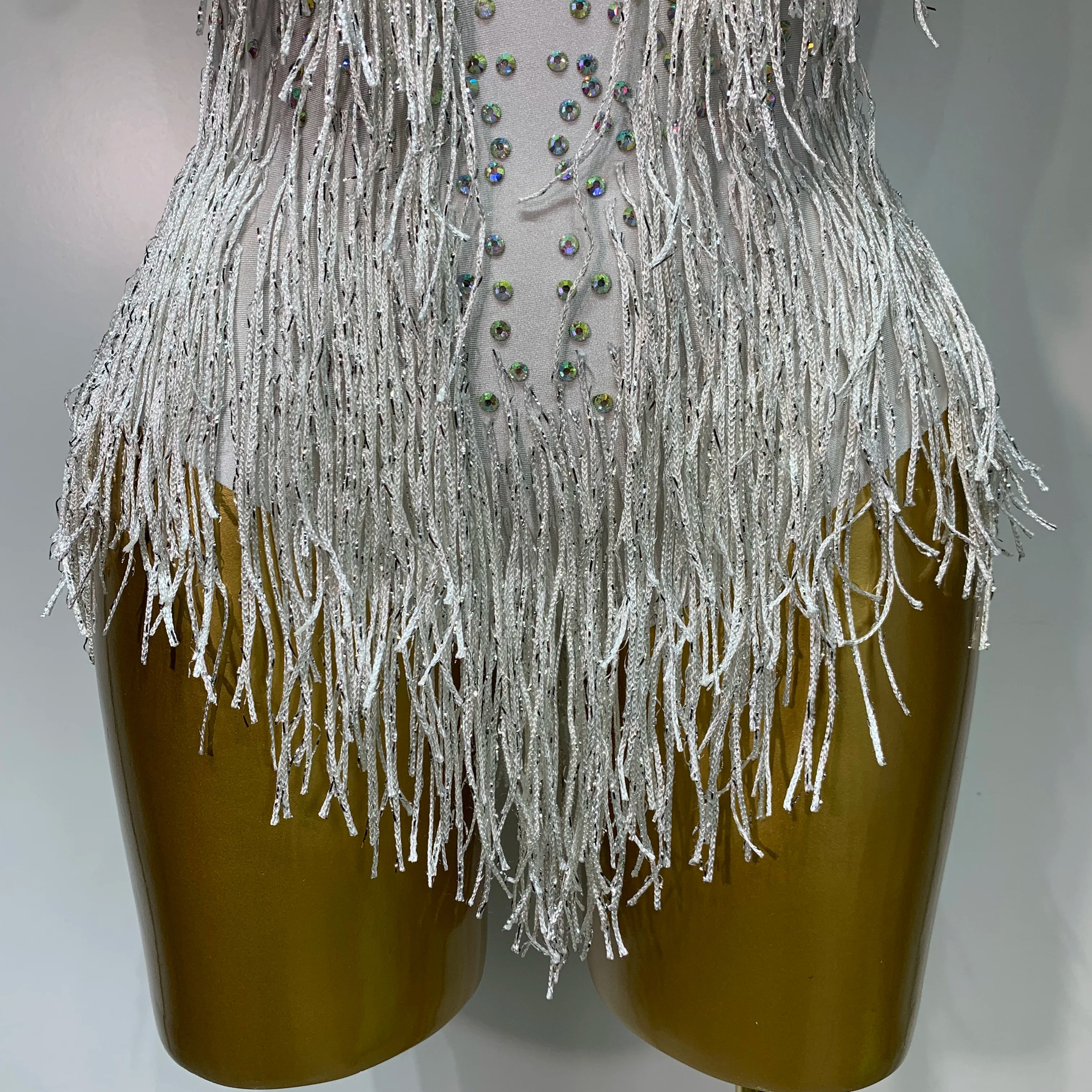 Sparkly Rhinestones Fringes Leotard Women Nightclub Evening Party Outfit Dance Costume Stage Outfit Sexy Performance Bodysuit