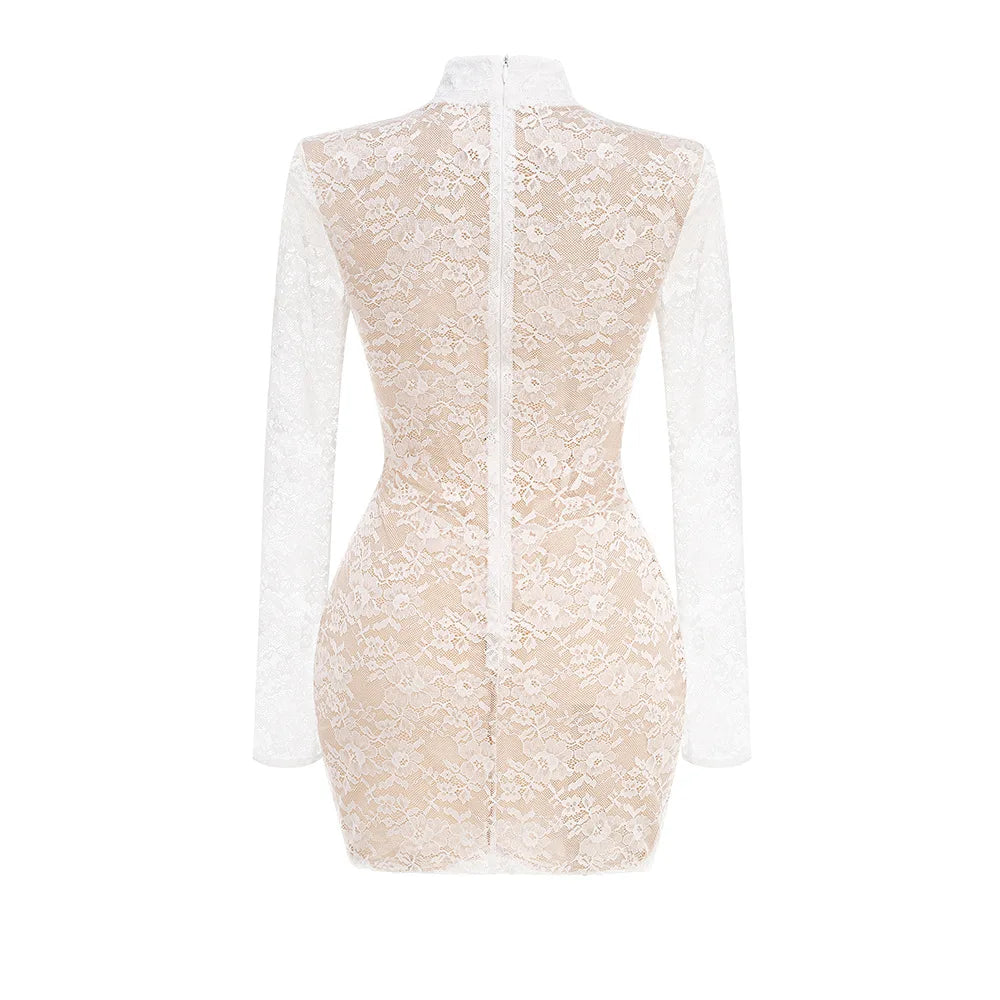 White Lace Long Sleeve Sexy Bodycon Mini Dress Celebrate Nightclub Party Birthday Photo Shoot Wear 2025 New Spring