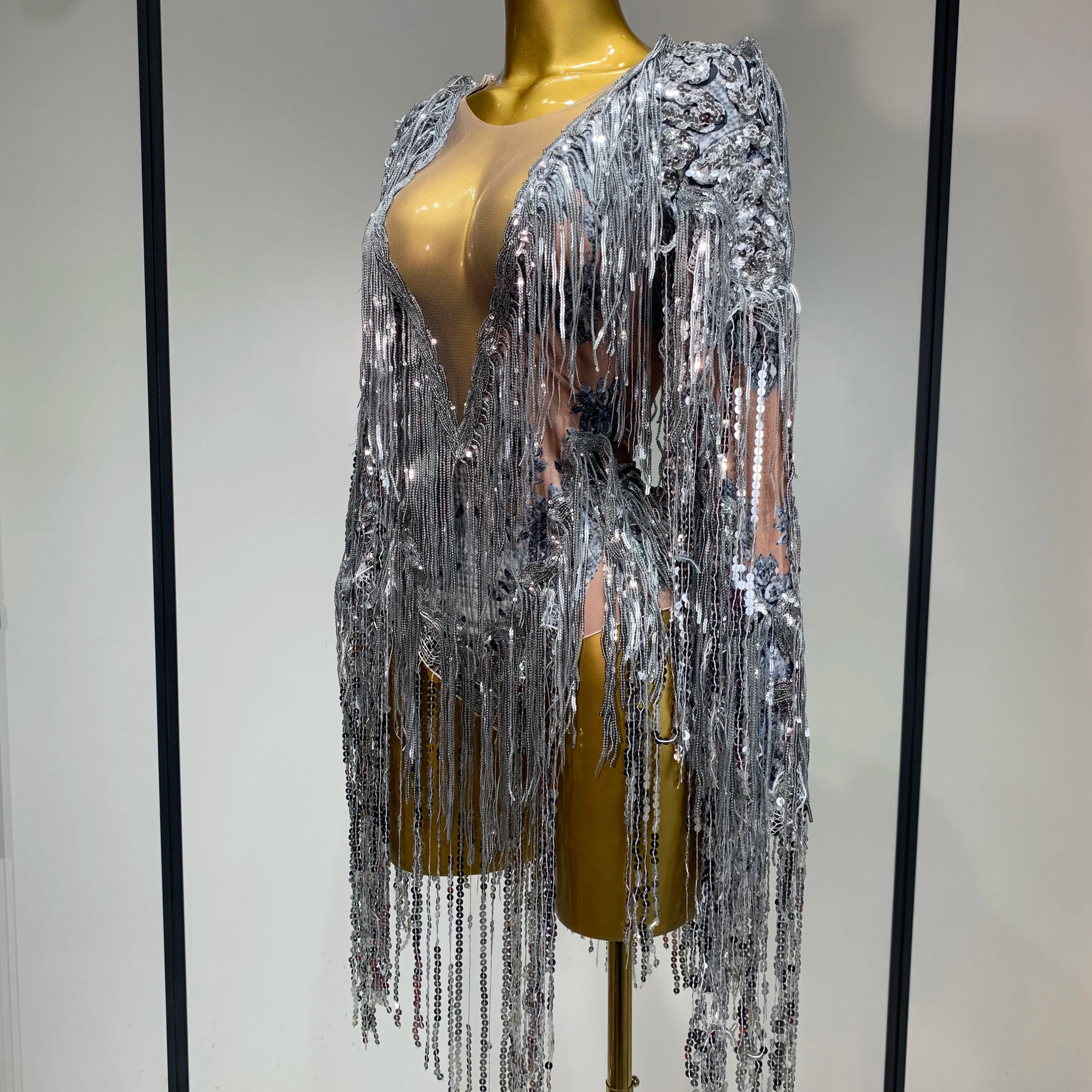 Sparkly Sequin Tassels Long Sleeve Silver Bodysuit Bar Women Singer Show Costume Celebrate Outfit Evening Dance Stage Outfit