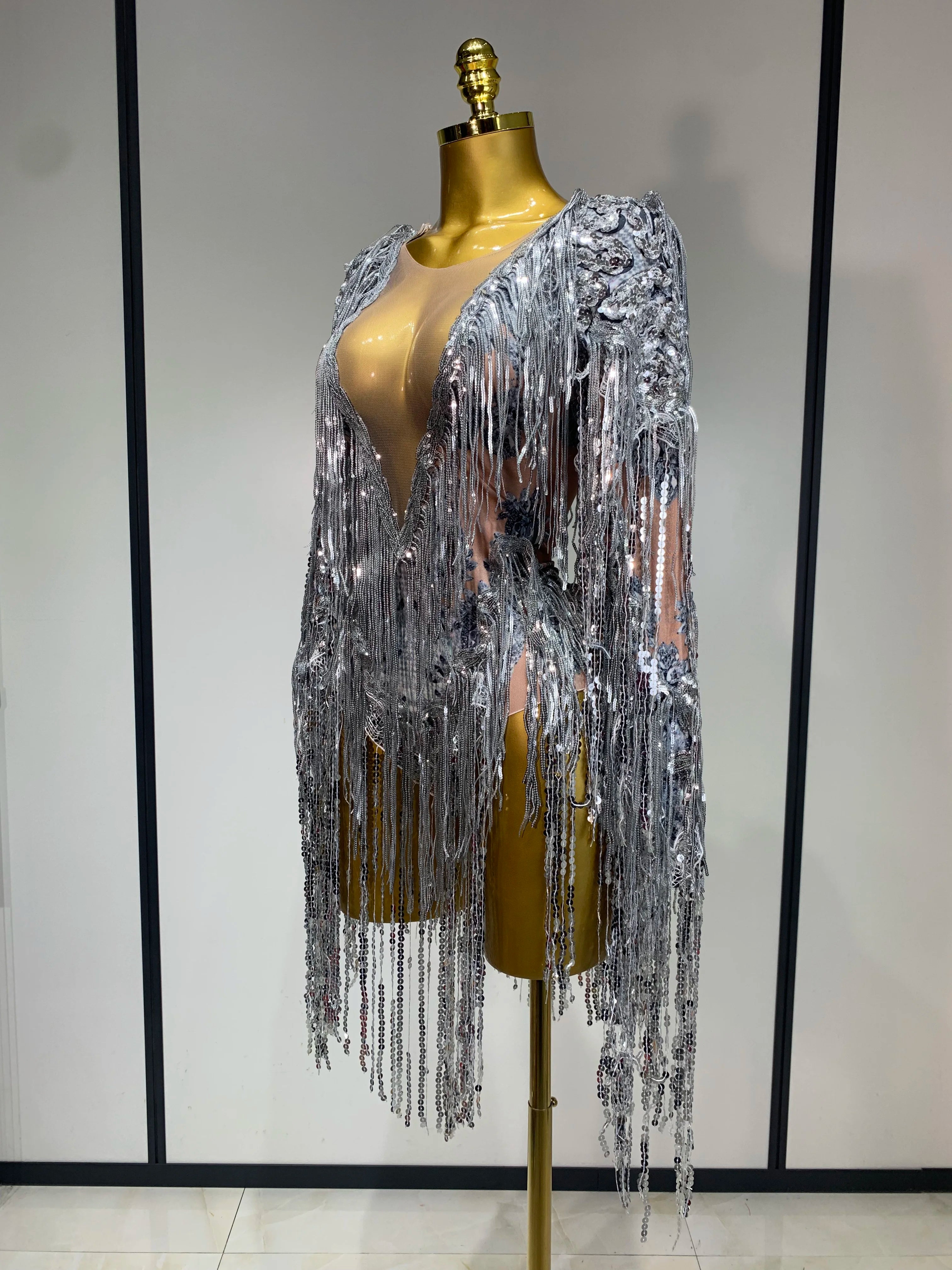 Sparkly Sequin Tassels Long Sleeve Silver Bodysuit Bar Women Singer Show Costume Celebrate Outfit Evening Dance Stage Outfit
